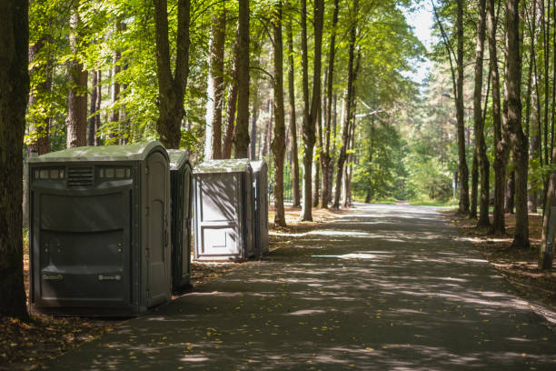 Best Sanitation services for porta potties  in Sheldon, IL